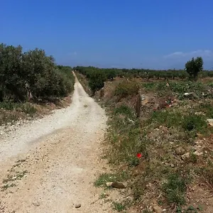  Casa di campagna La Casa Al Ficus